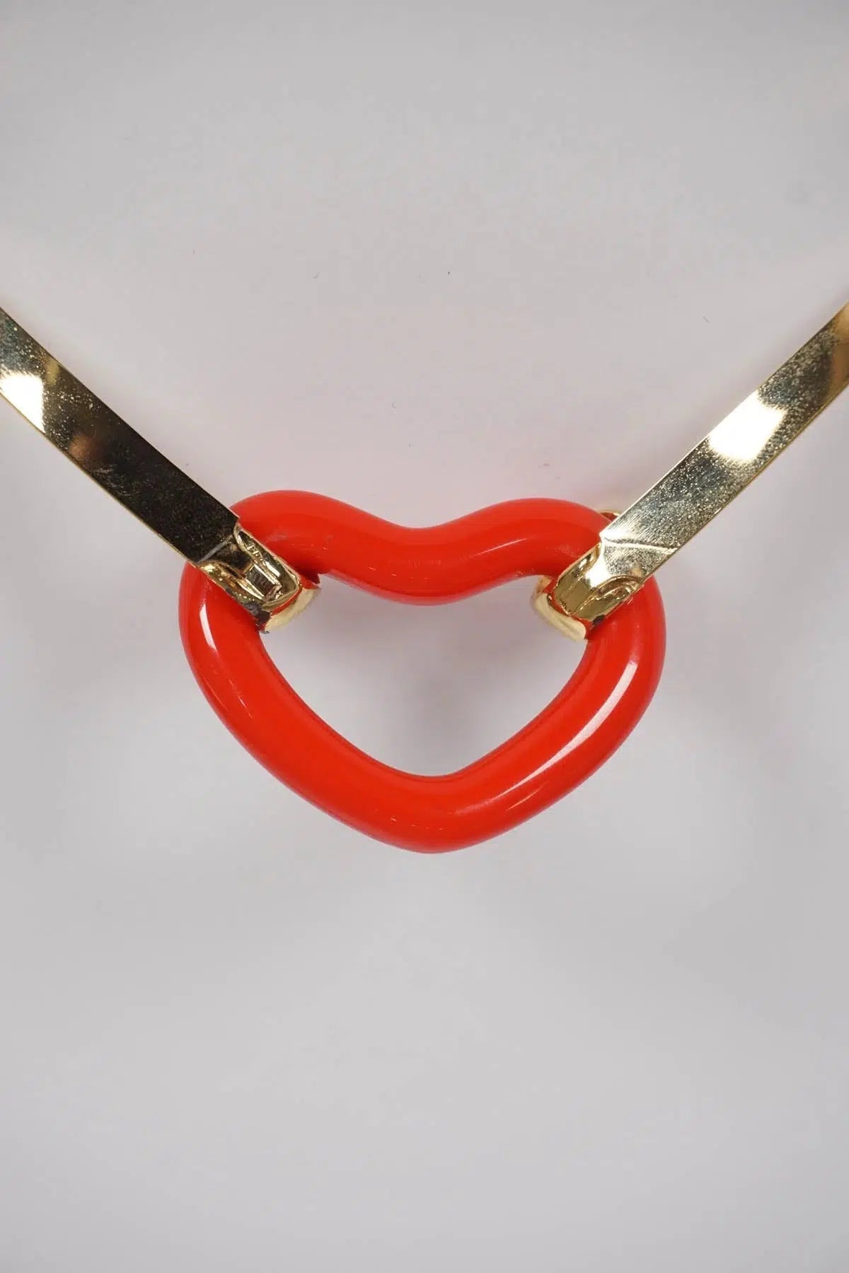 Diane Von Furstenberg Interchangeable Heart Necklace