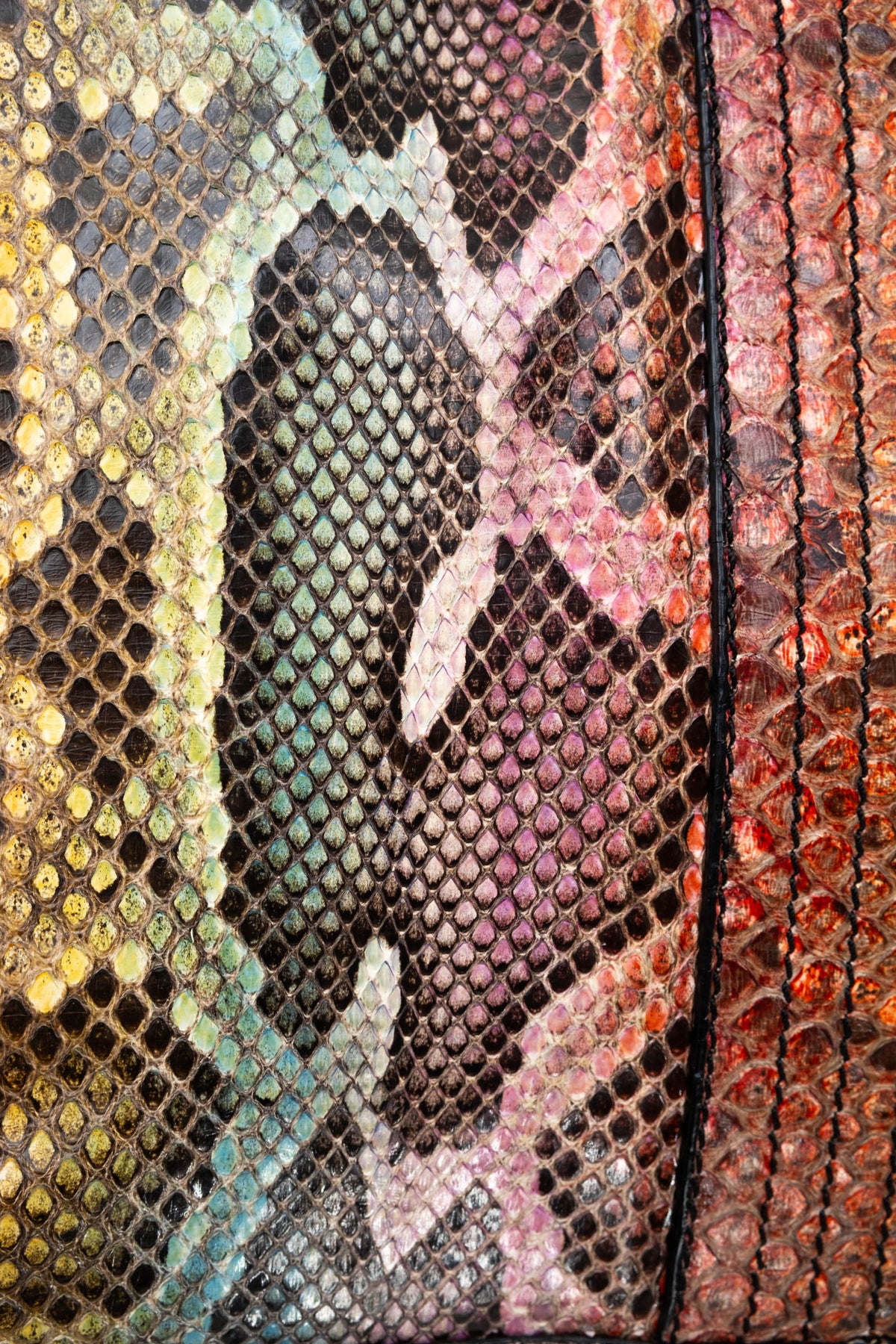 Fendi Rainbow Python Mama Baguette Purse