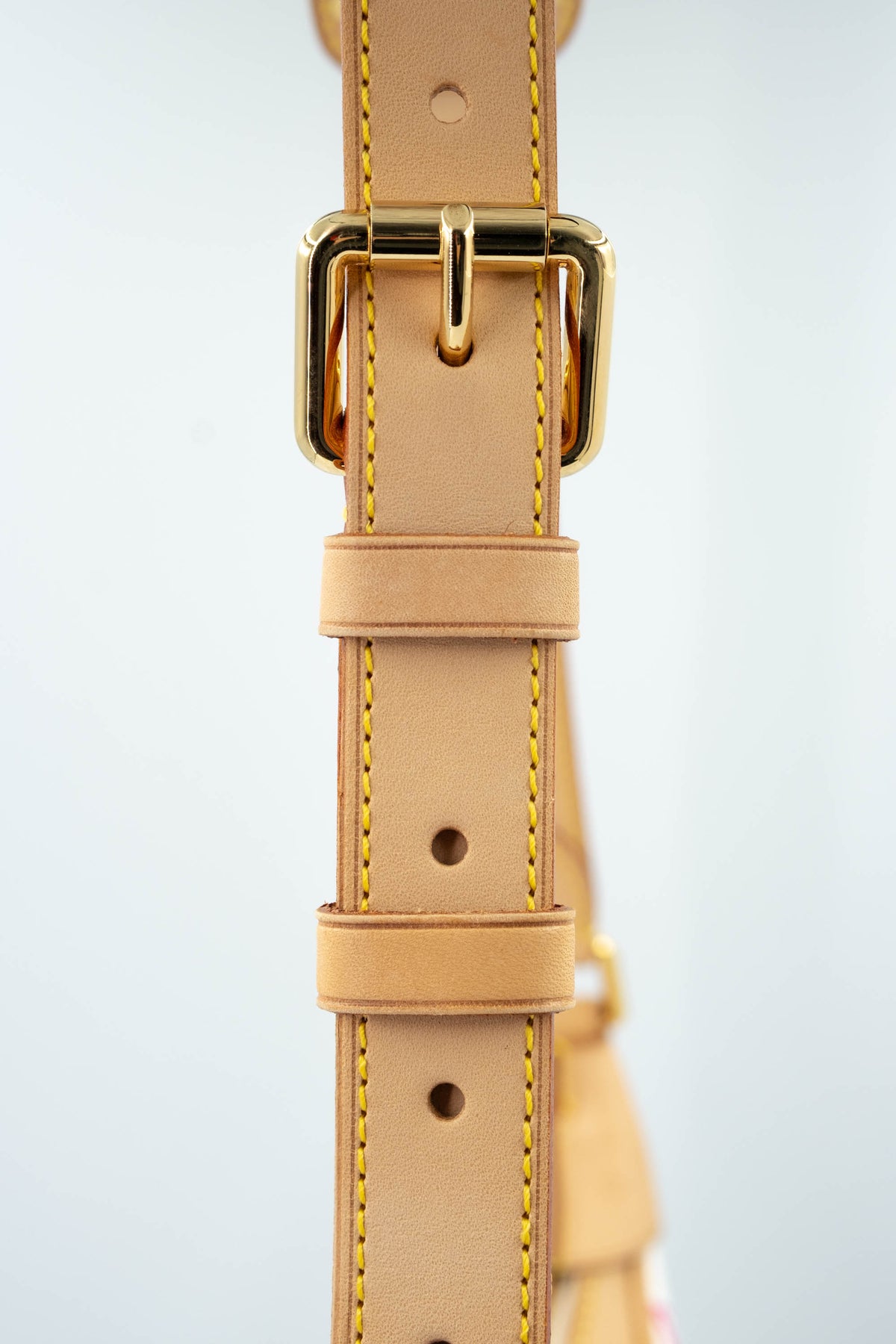 Louis Vuitton x Takashi Murakami Multicolore BoulogneShoulder Bag