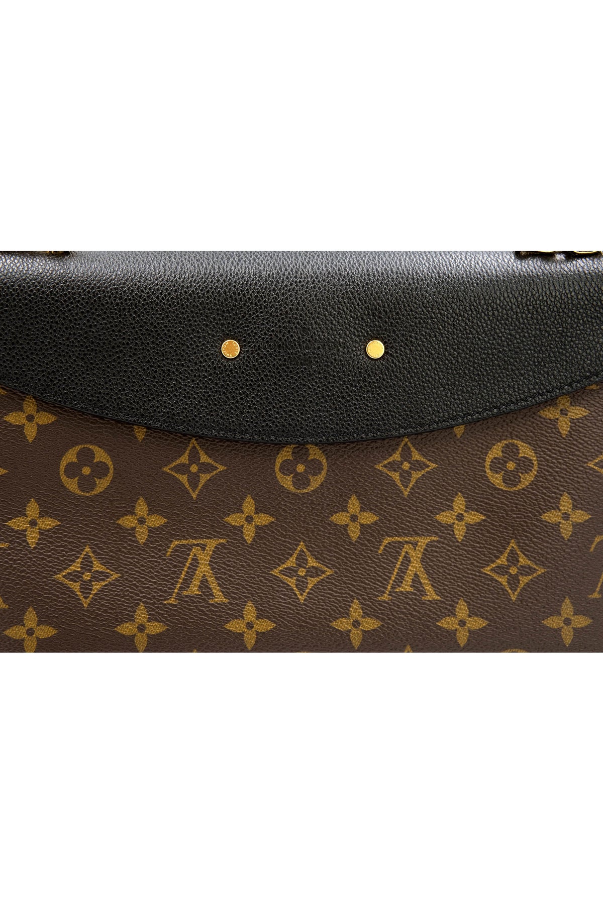 Louis Vuitton Monogram and Leather Saint Placide Purse
