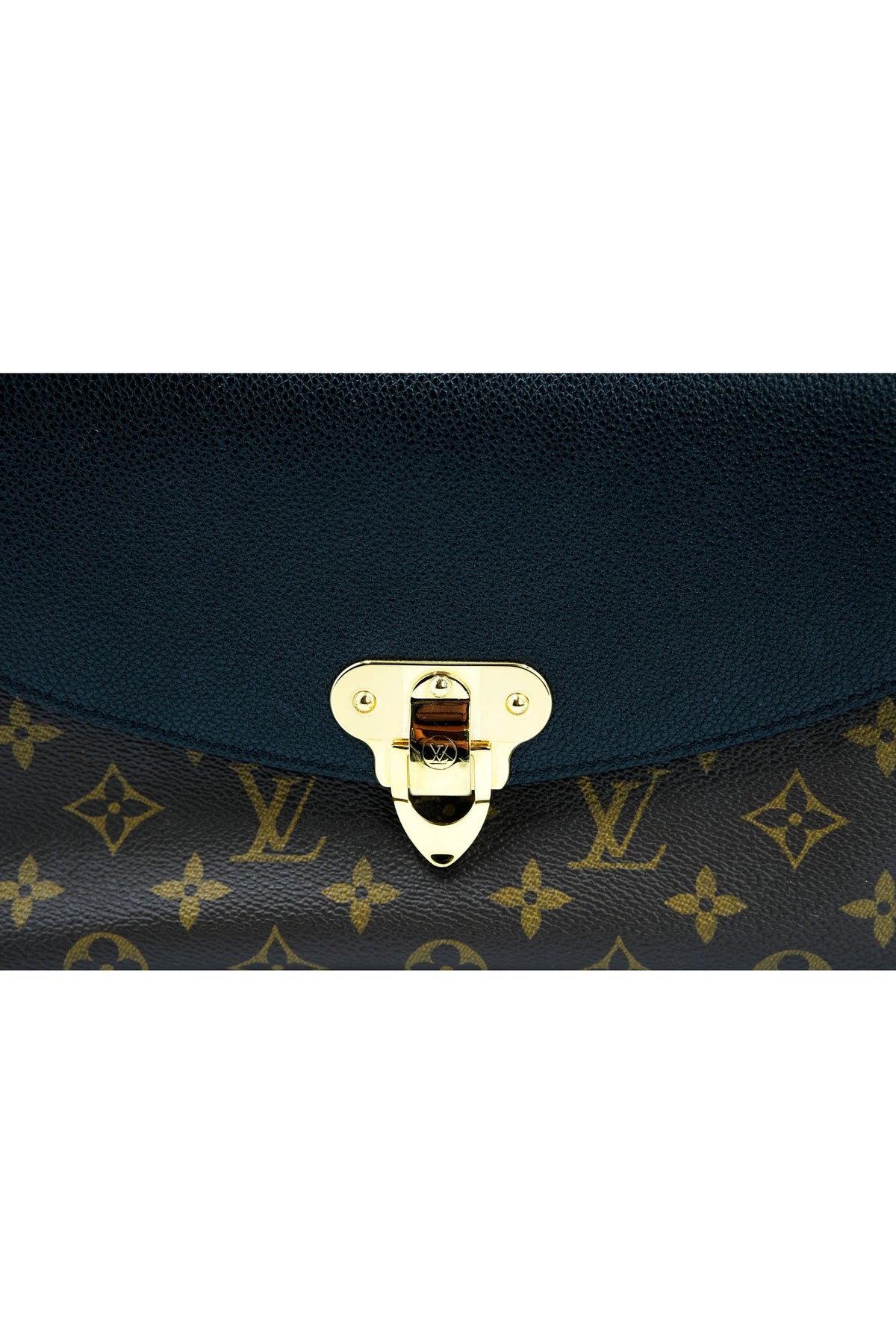 Louis Vuitton Monogram and Leather Saint Placide Purse