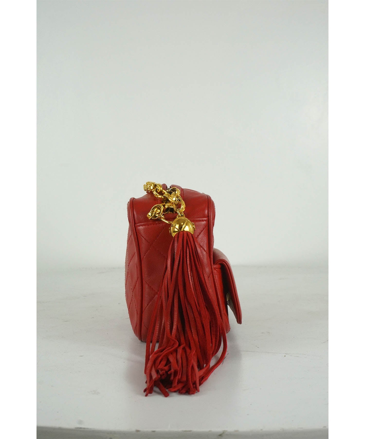 Chanel Vintage Bijoux Chain & Tassel Camera Bag 1980's