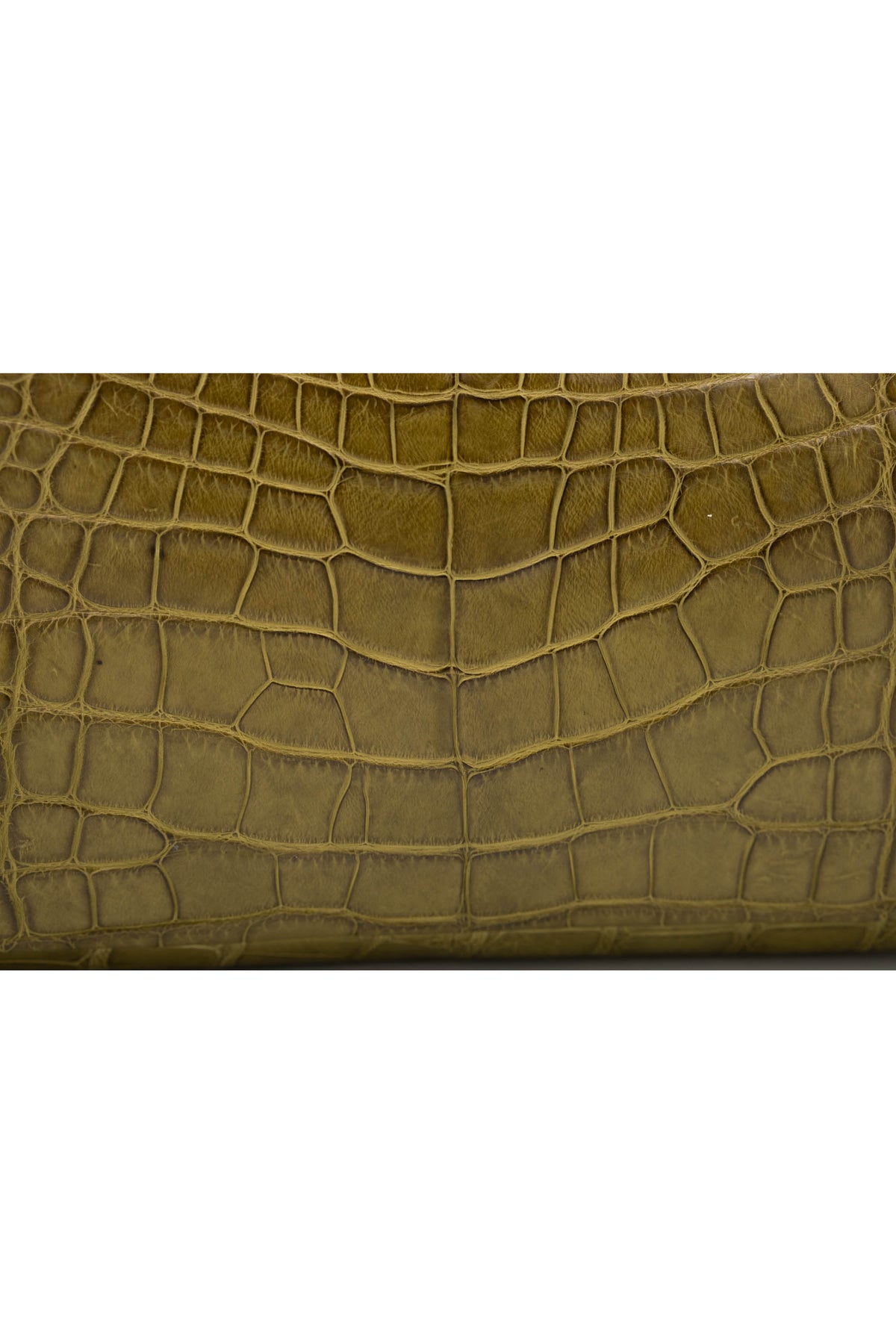 Christian Dior Galliano Olive Alligator Ostrich Malice Pochette Purse Y2K