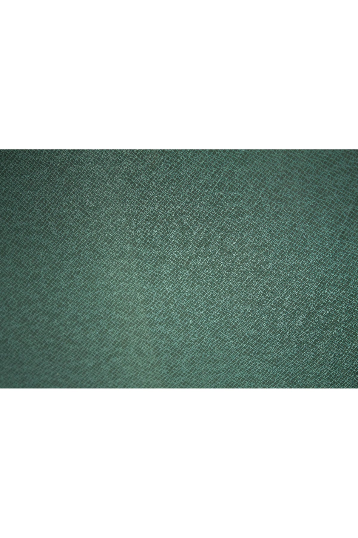 Louis Vuitton Green Taiga Umbrella With Wood Handle