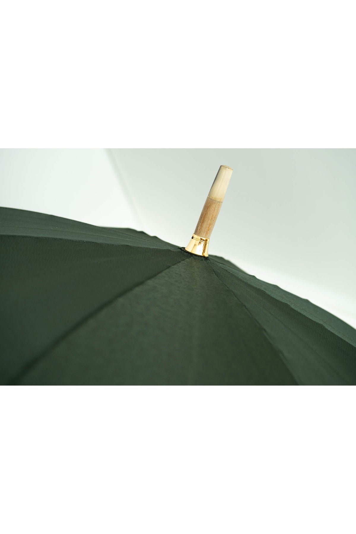 Louis Vuitton Green Taiga Umbrella With Wood Handle